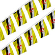 Guirlande drapeau brunei en polyester à suspendre