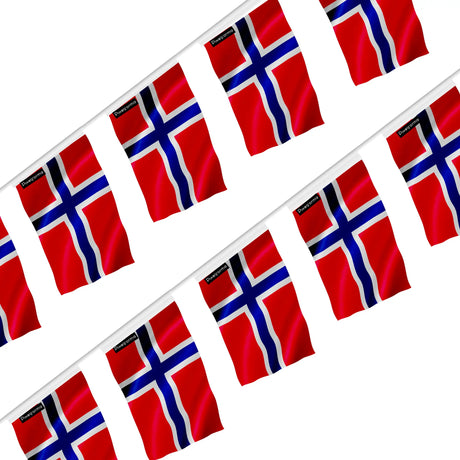 Guirlande drapeau l’île bouvet en polyester à suspendre