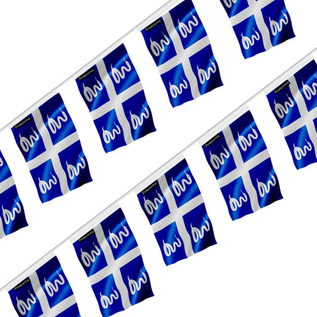 Guirlande drapeau martinique polyester à accrocher extérieur