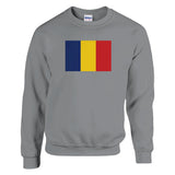 Sweat-shirt roumanie coton mélangé imprimé brodé doux